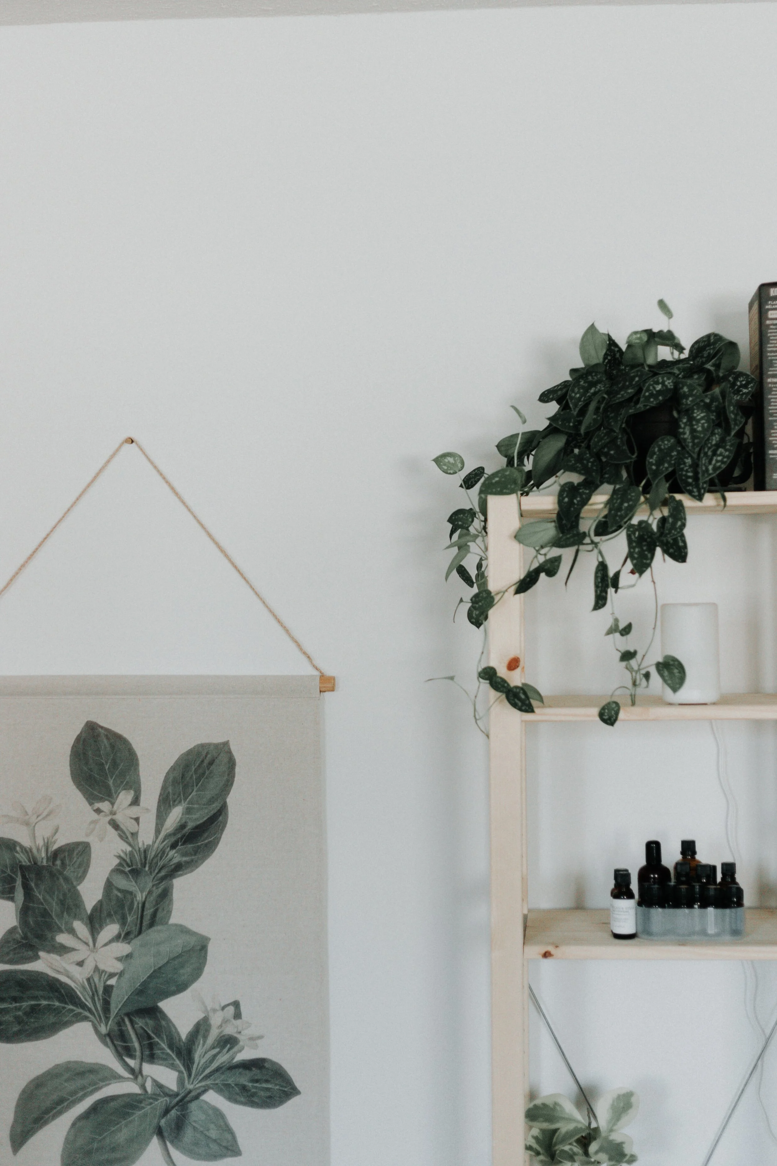 Episode 001: Fundamentals of Self-Care pt. 1