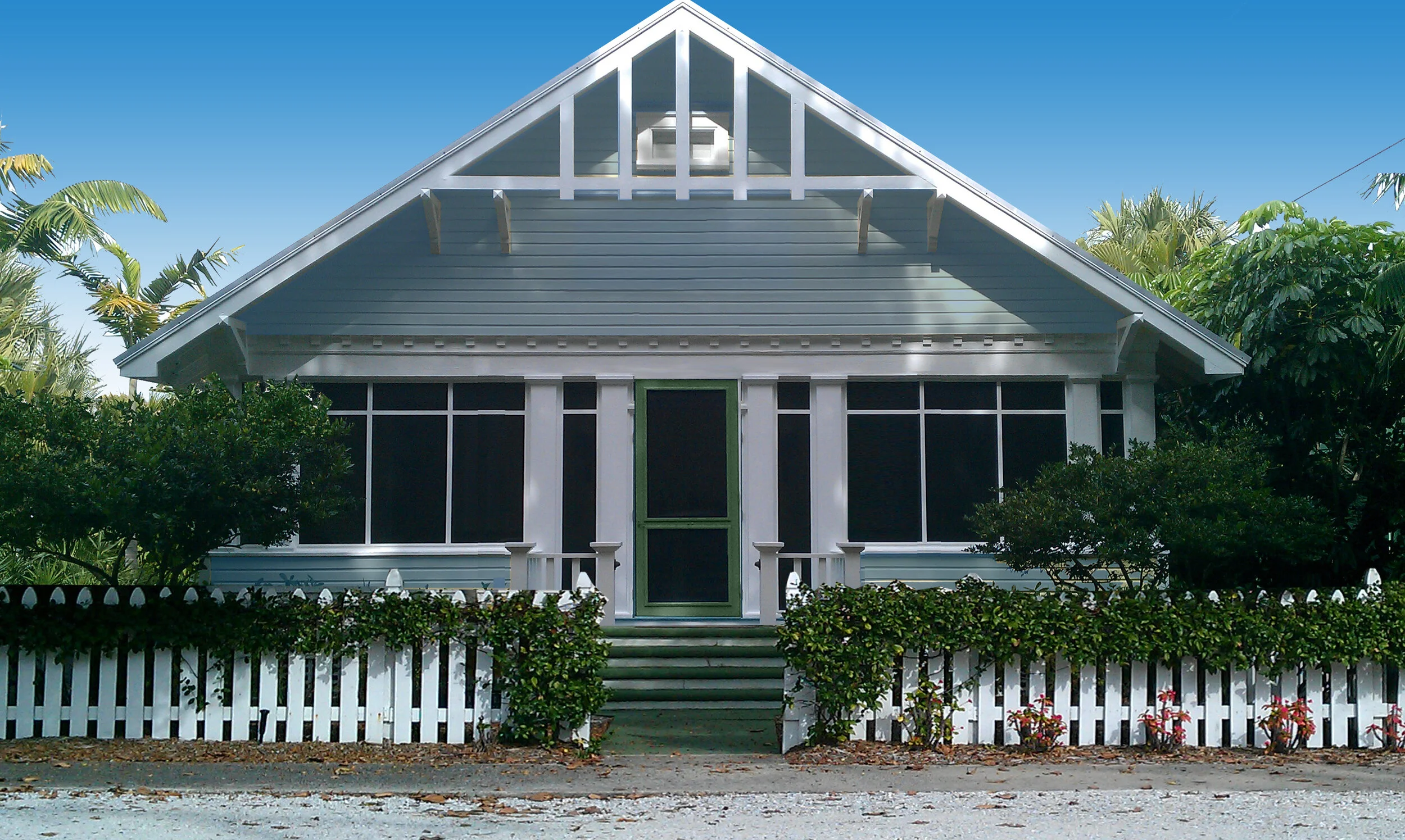310 Palm (idea!)