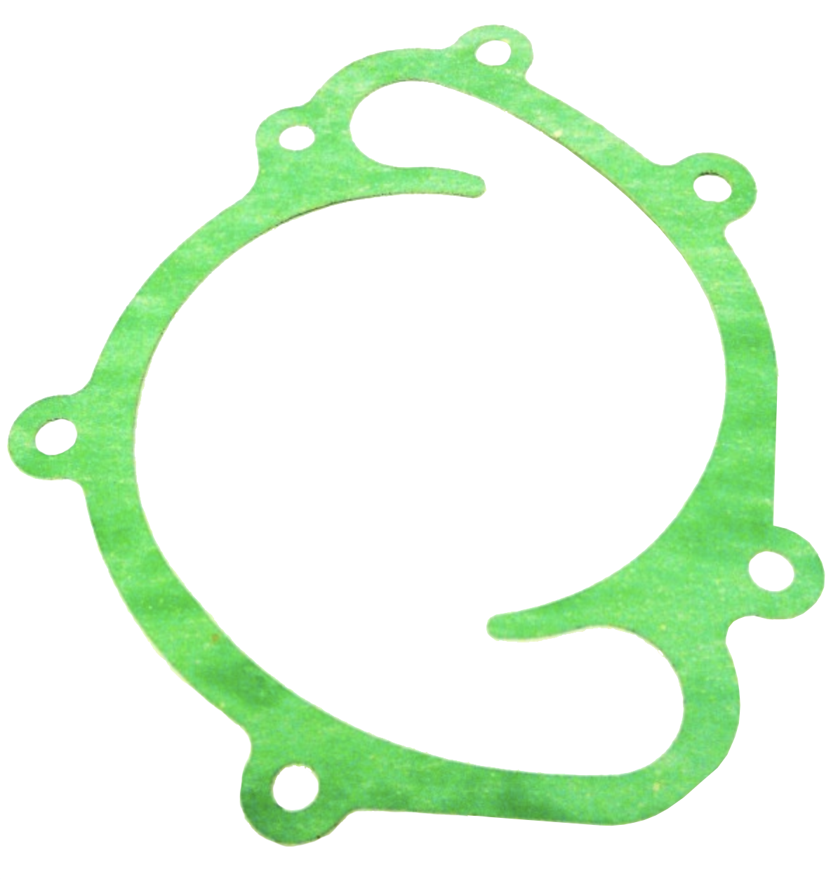 special gasket.png