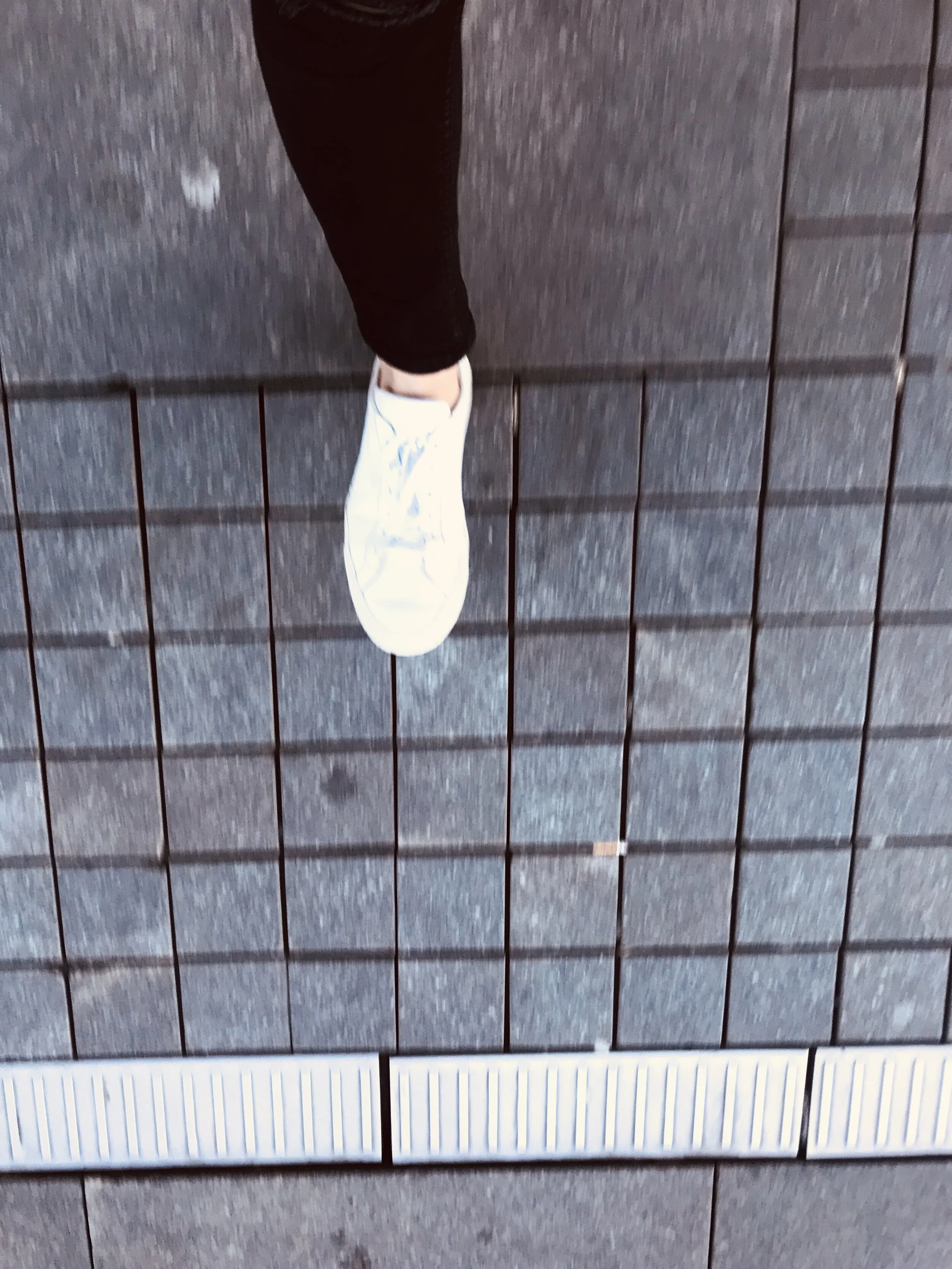 IMG_1109.jpeg