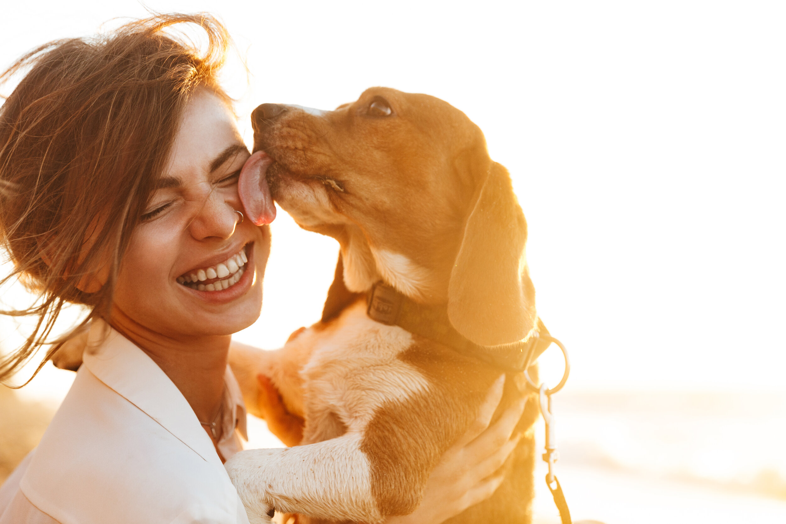 CBD is for dogs, too!