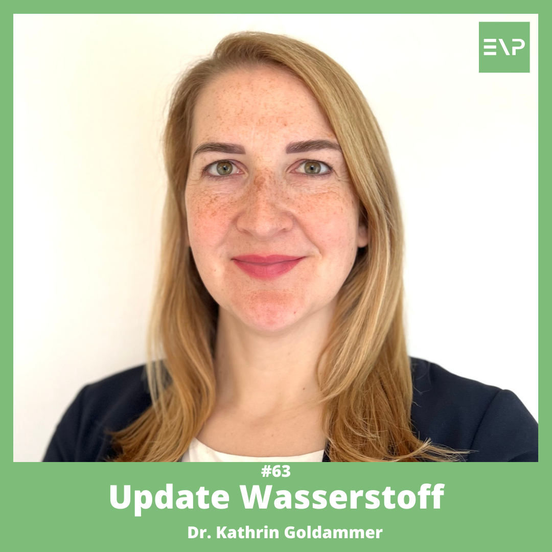#63 Update Wasserstoff (Dr. Kathrin Goldammer - CEO Reiner Lemoine Institut)