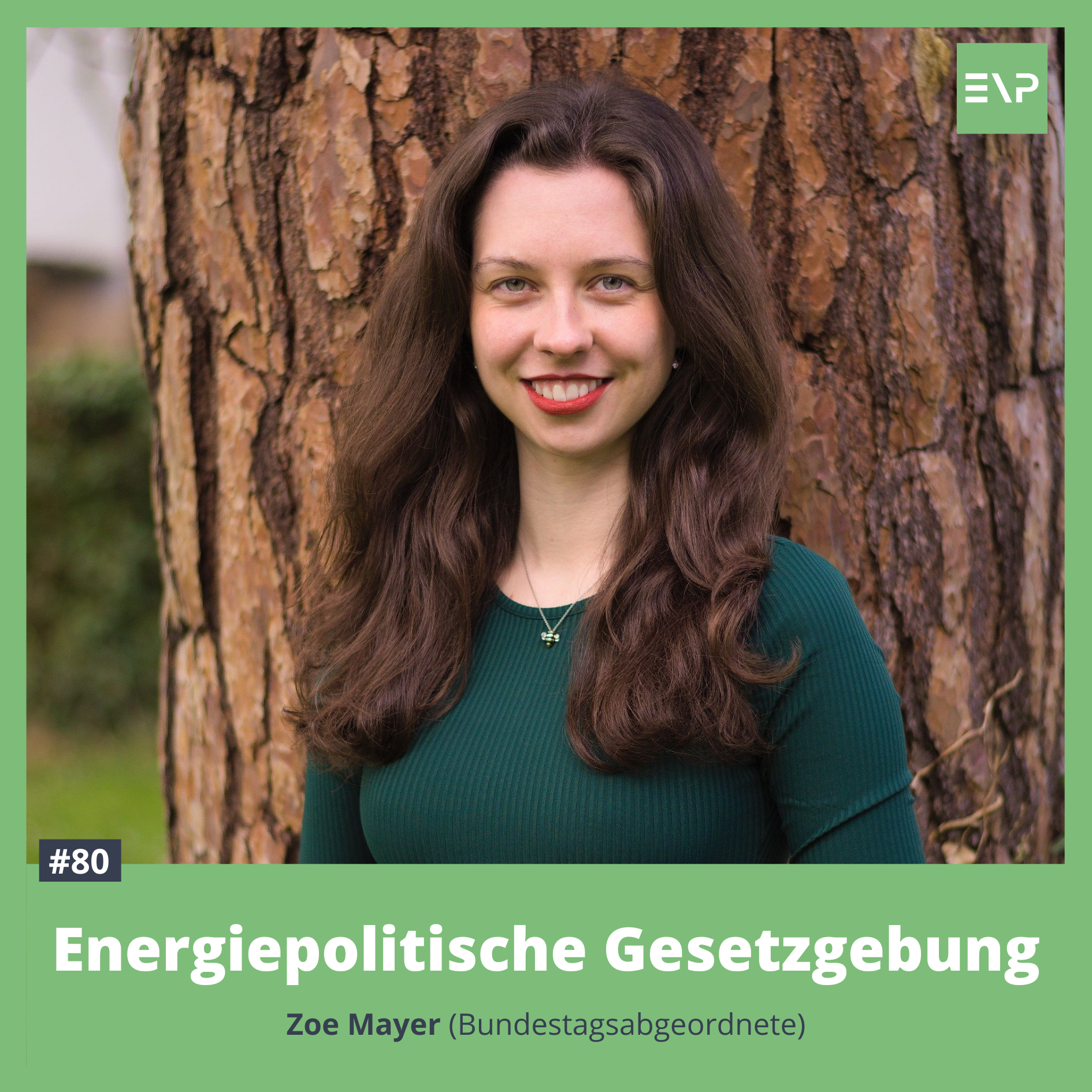 #80 Energiepolitische Gesetzgebung (Zoe Mayer - MdB)