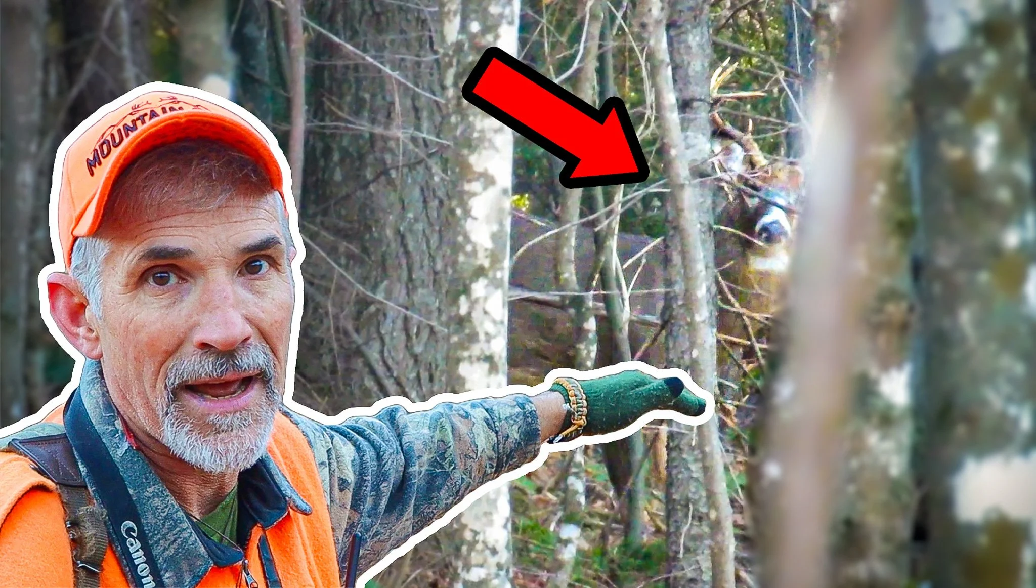 Reading Buck Sign and Behavior: How to Understand What a Deer Is Telling You</span>