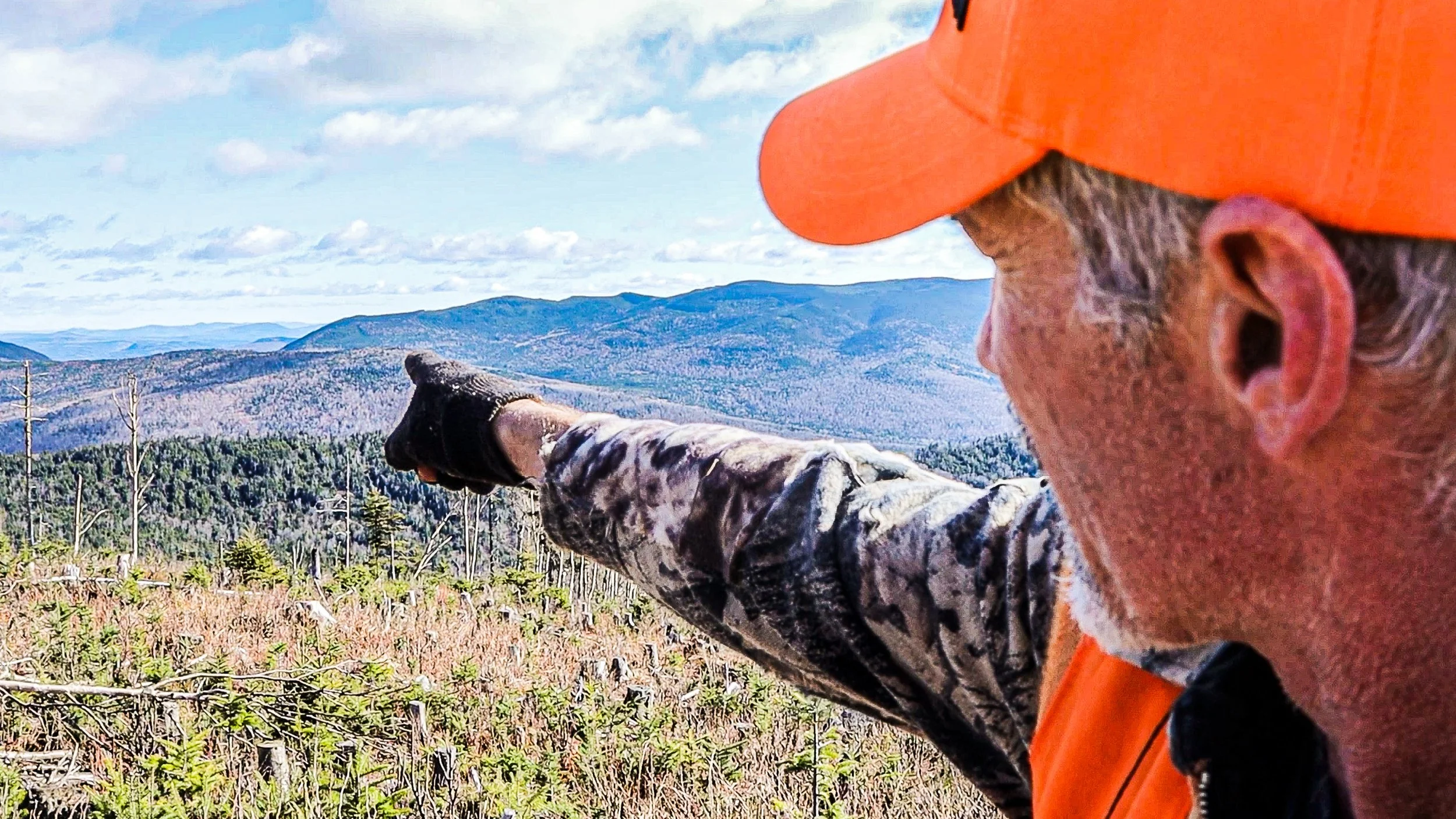 What Should Deer Trackers Do,                               If The Snow Never Comes?