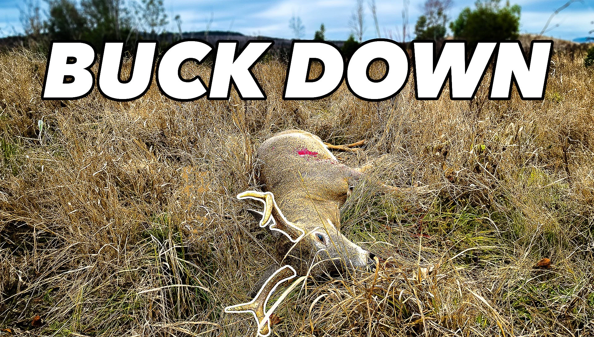 Buck Down…Now What?