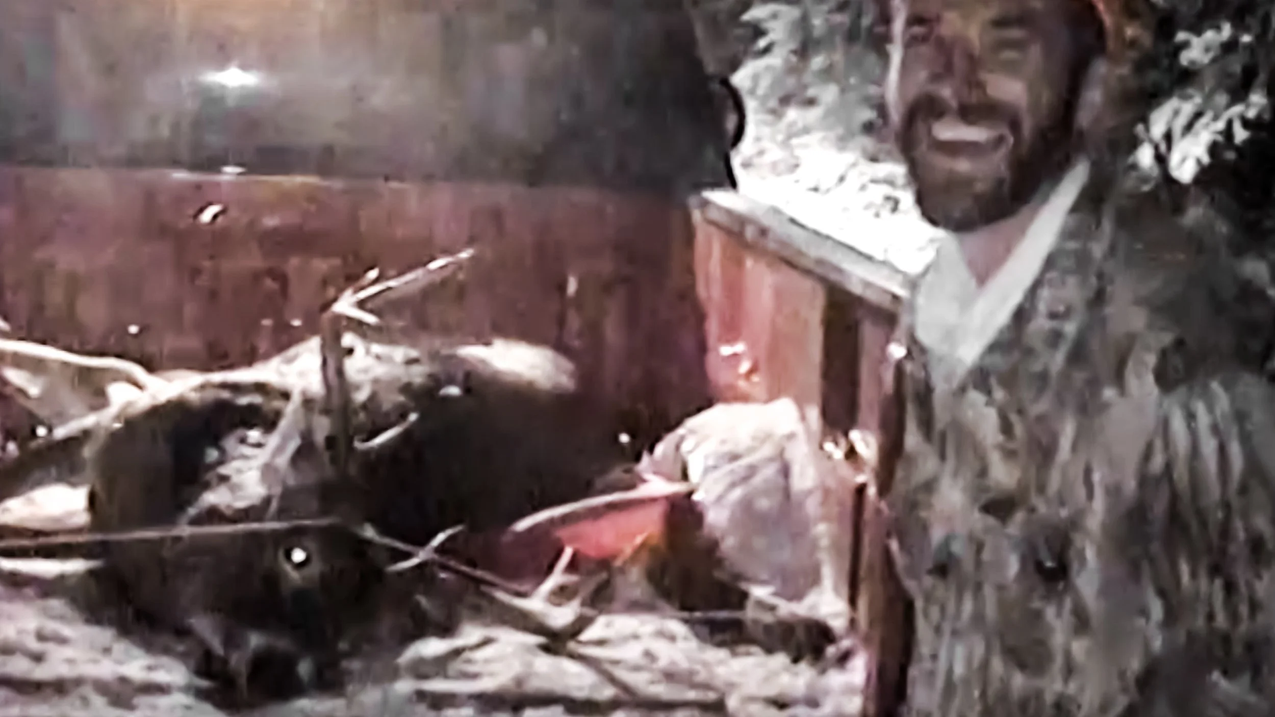 Old Hunters and New Tricks:                              Why Adaptation Matters More Than Experience</span>