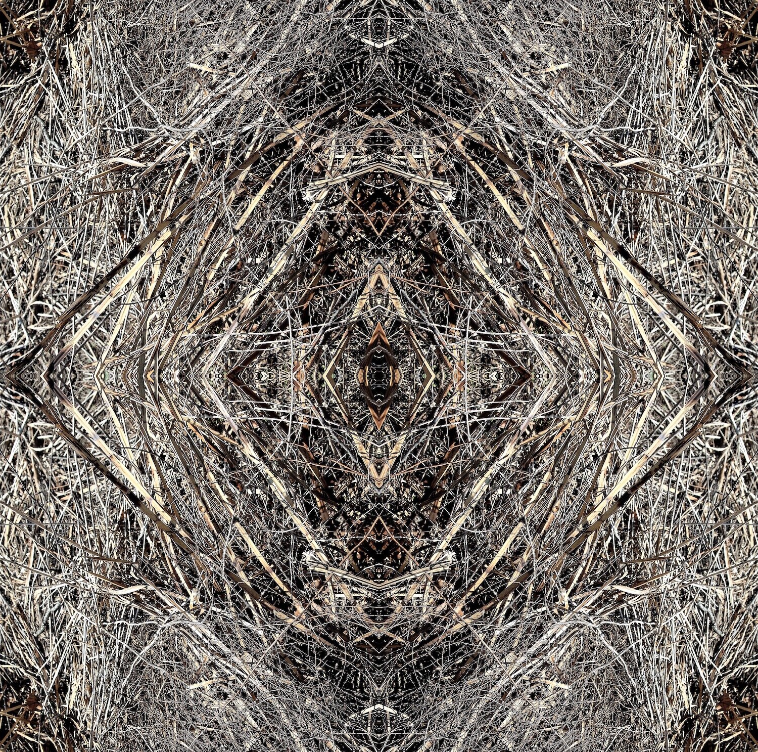 Carbon Memory by Stephen Bullock, Contemporary Fine Art Photography