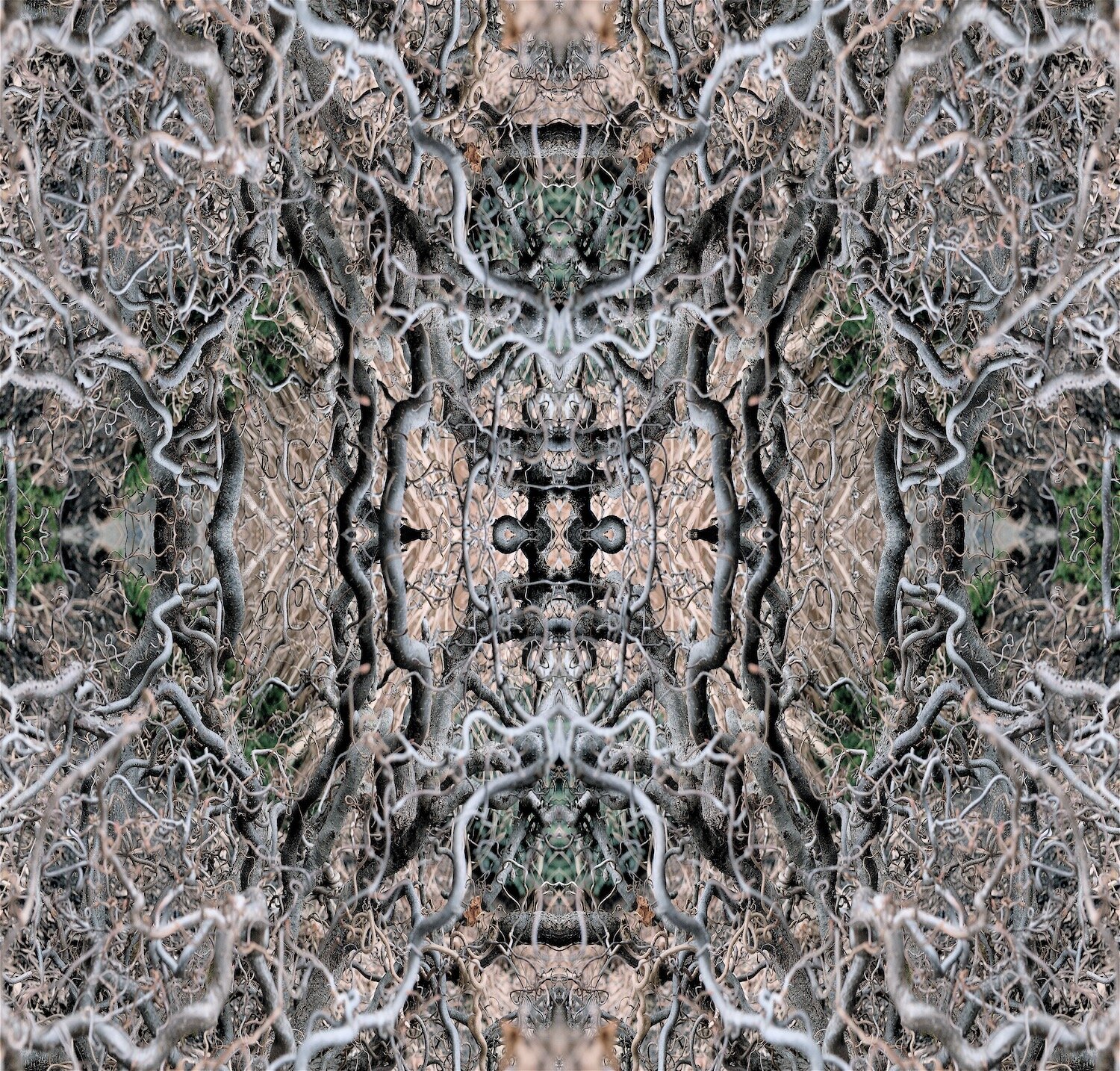 Trailing Moment by Stephen Bullock, Contemporary Fine Art Photography