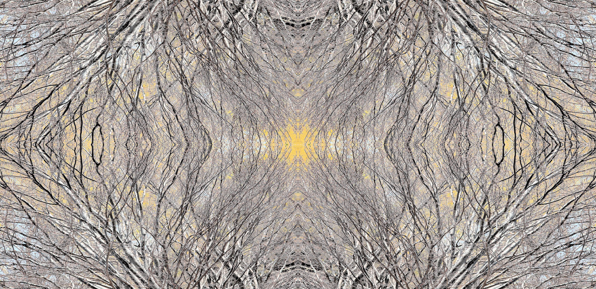 Circadian by Stephen Bullock, Contemporary Fine Art Photography