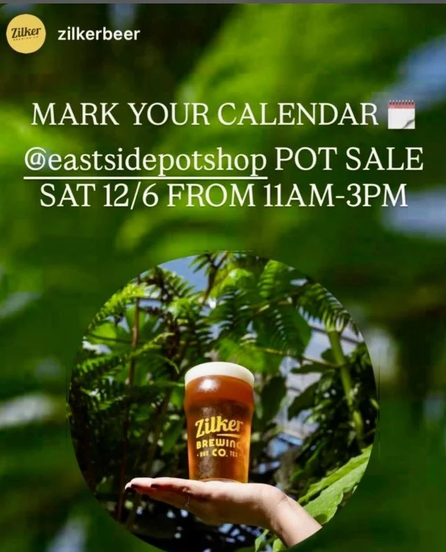 Pop up Sale at Zilker Brewing co