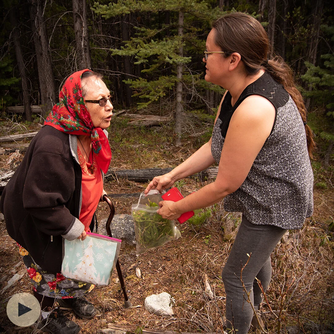 Indigenous Women: Leading on the Land