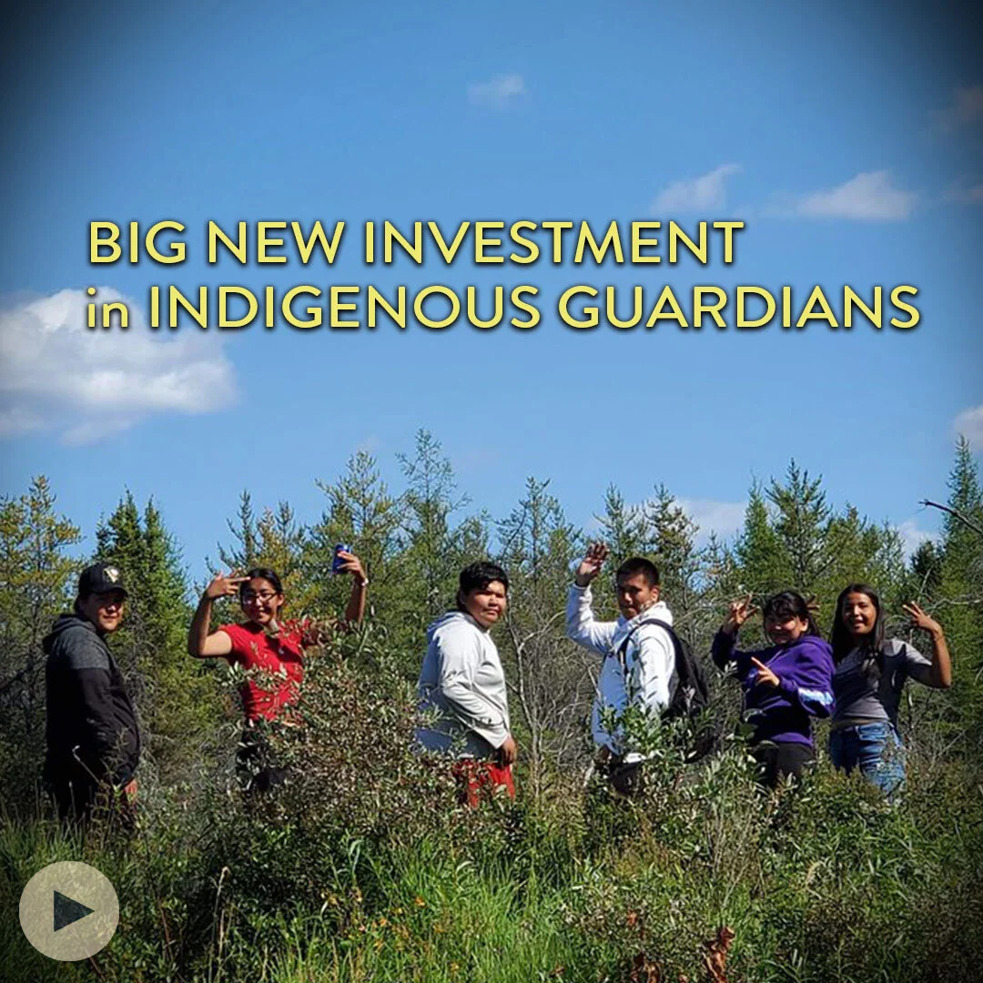 Canada makes a historic investment in Guardians!