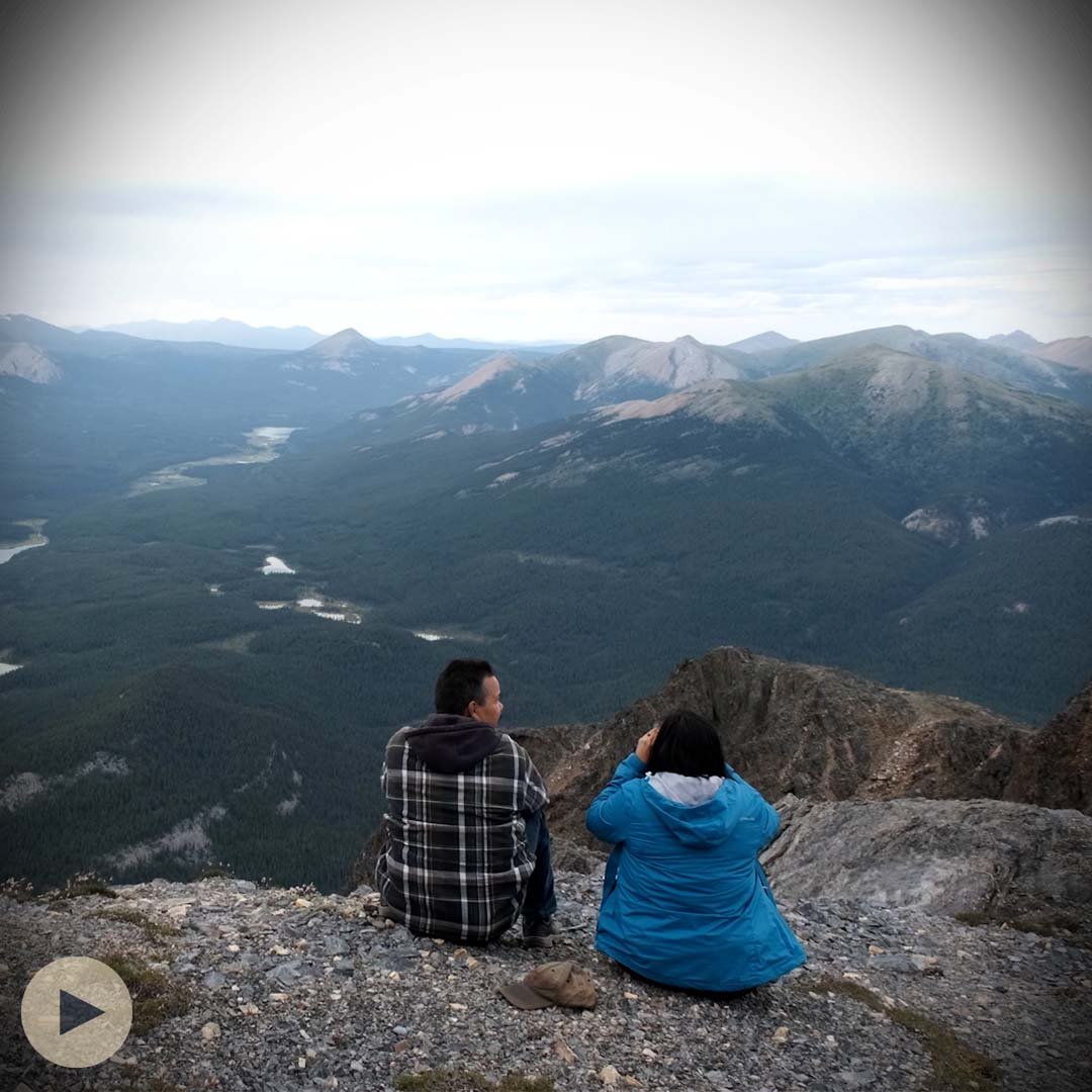 Two years of Land Needs Guardians!