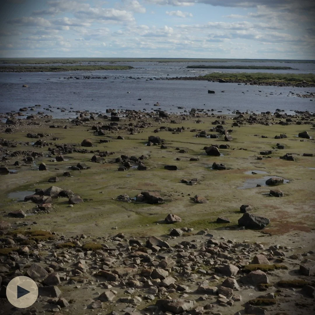 Protecting the Seal River Estuary