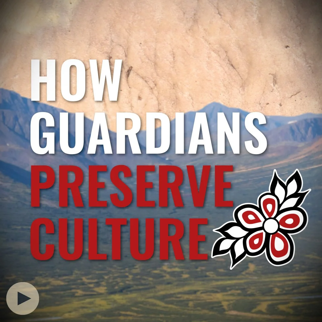 How Guardians Preserve Culture