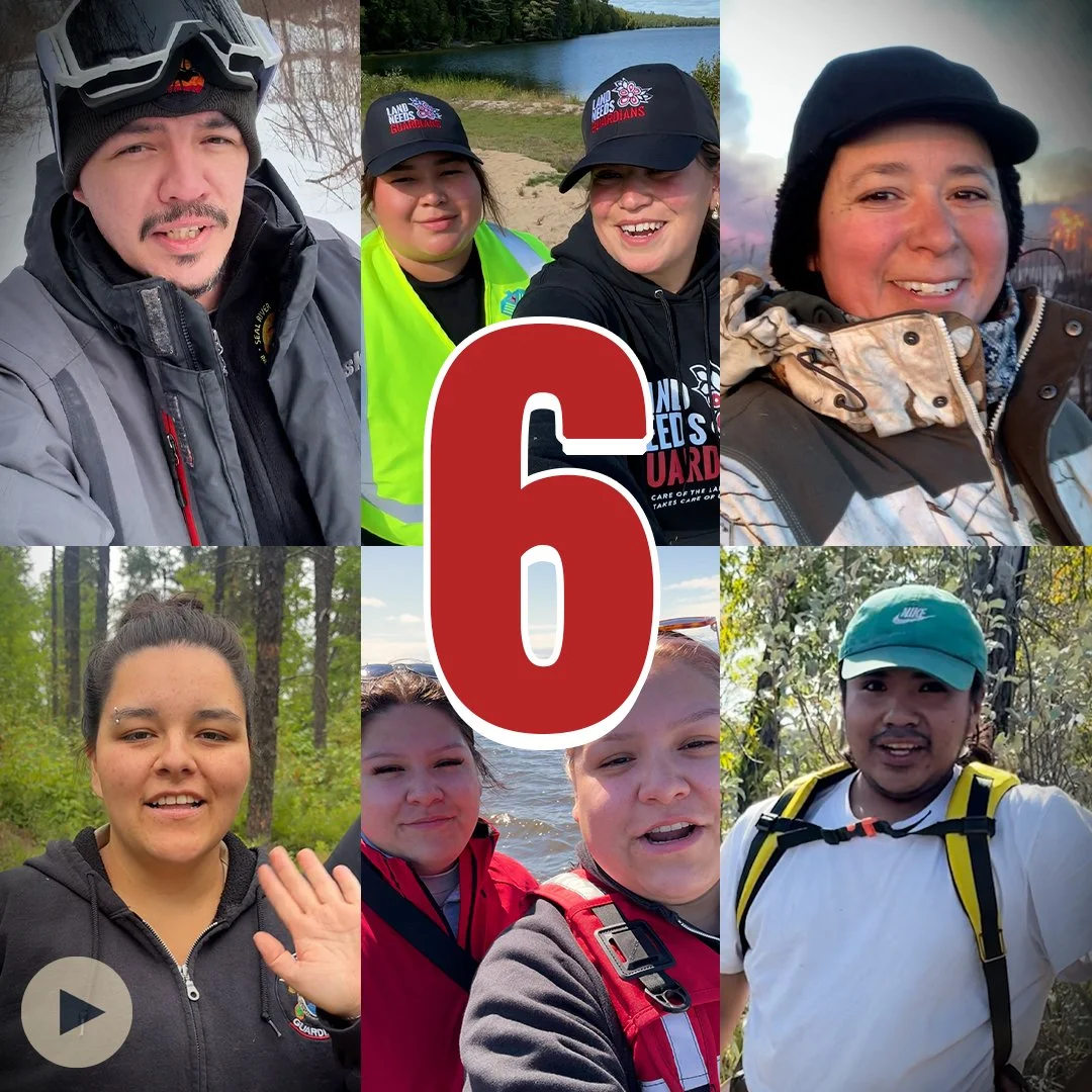 Celebrating Six Years of #LandNeedsGuardians