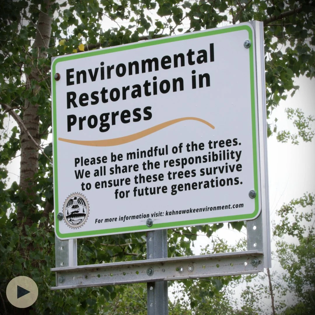 Restoring an artificial island to revitalize both biodiversity AND Indigenous culture with the Kahnawà:ke Guardians