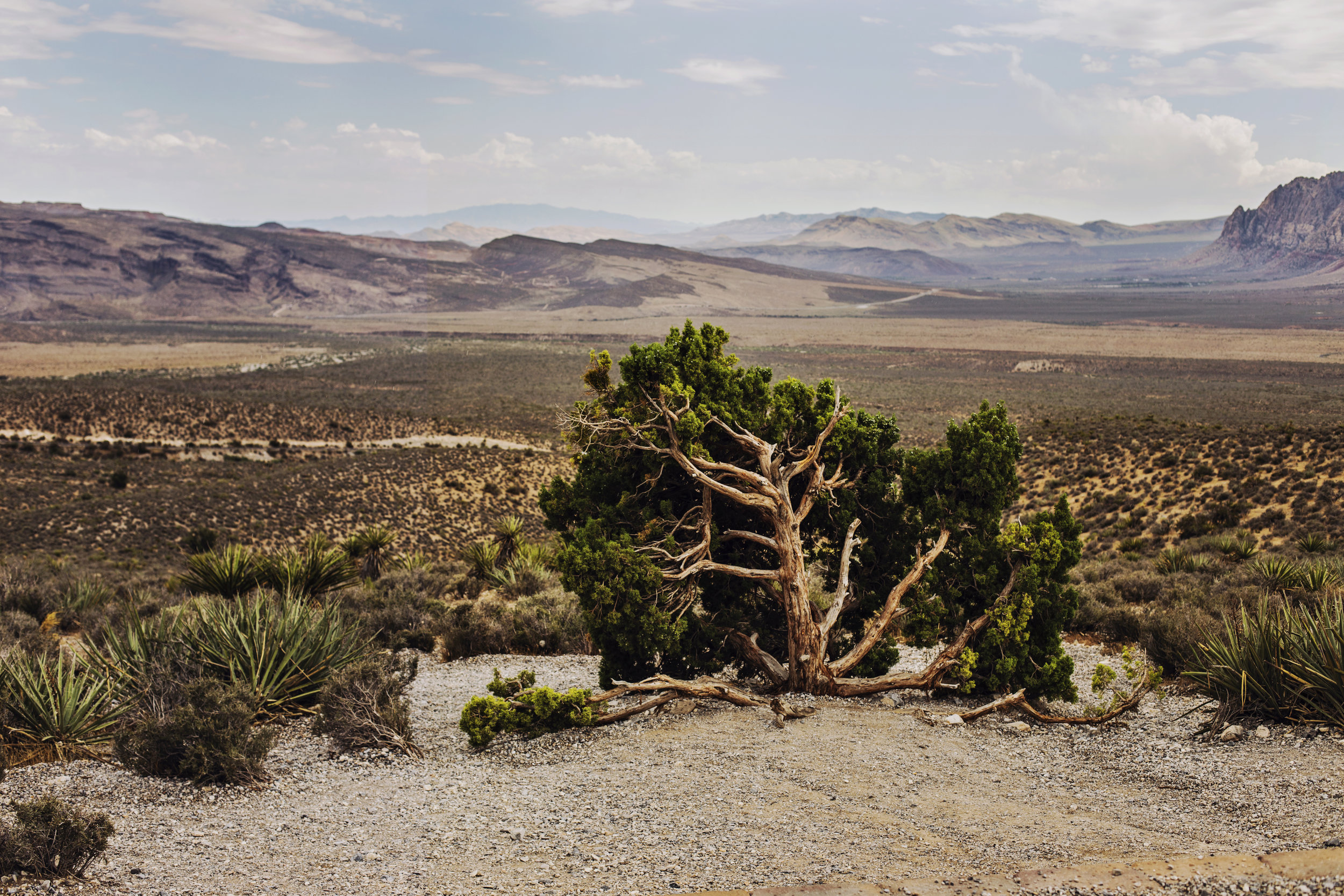 Provision in the Wilderness