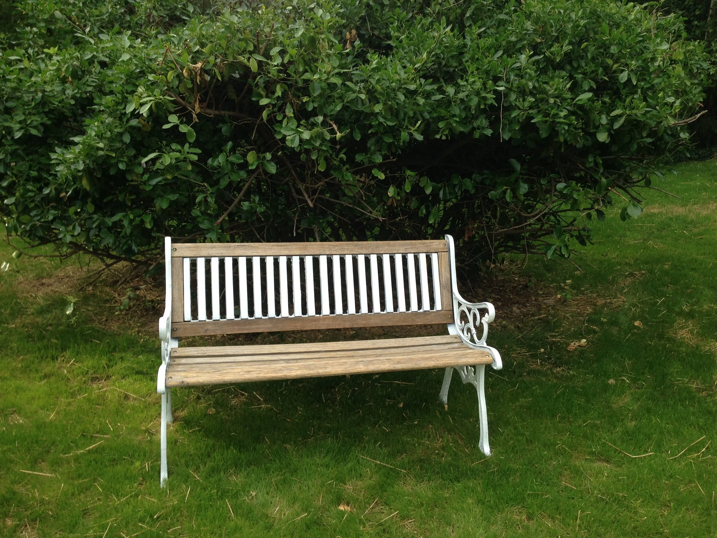 bench2.jpg