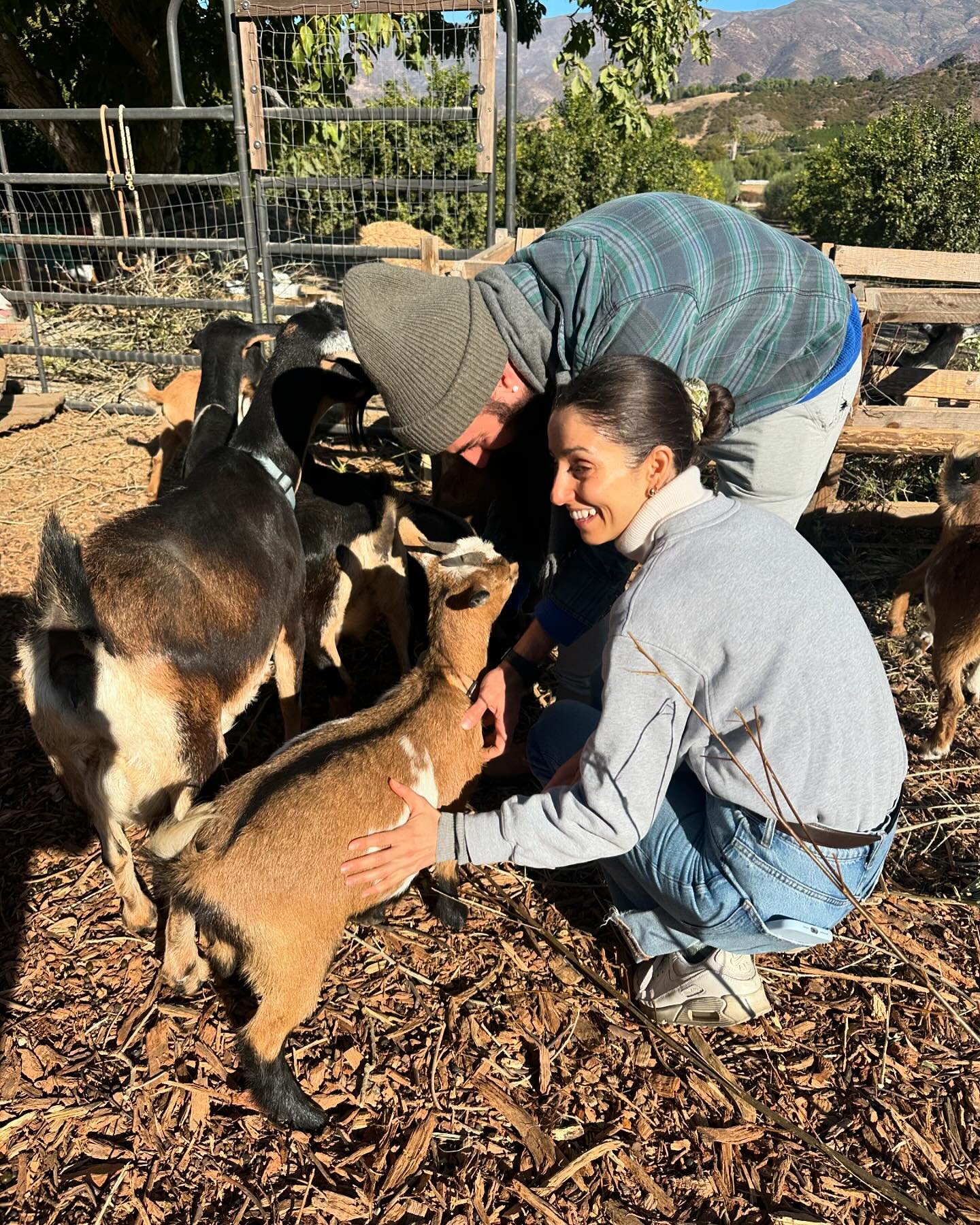 Very fun and educational workshop @mamatreeojai to experience and learn about soap making. Today we made goat milk and olive oil soap with Madeline who was very inspirational with her wisdom and ancestral interest. The land is beautiful and the women