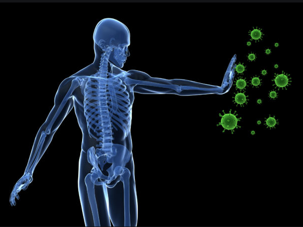 Boost Your Immune System