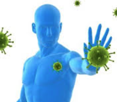 Boost Your Immune System