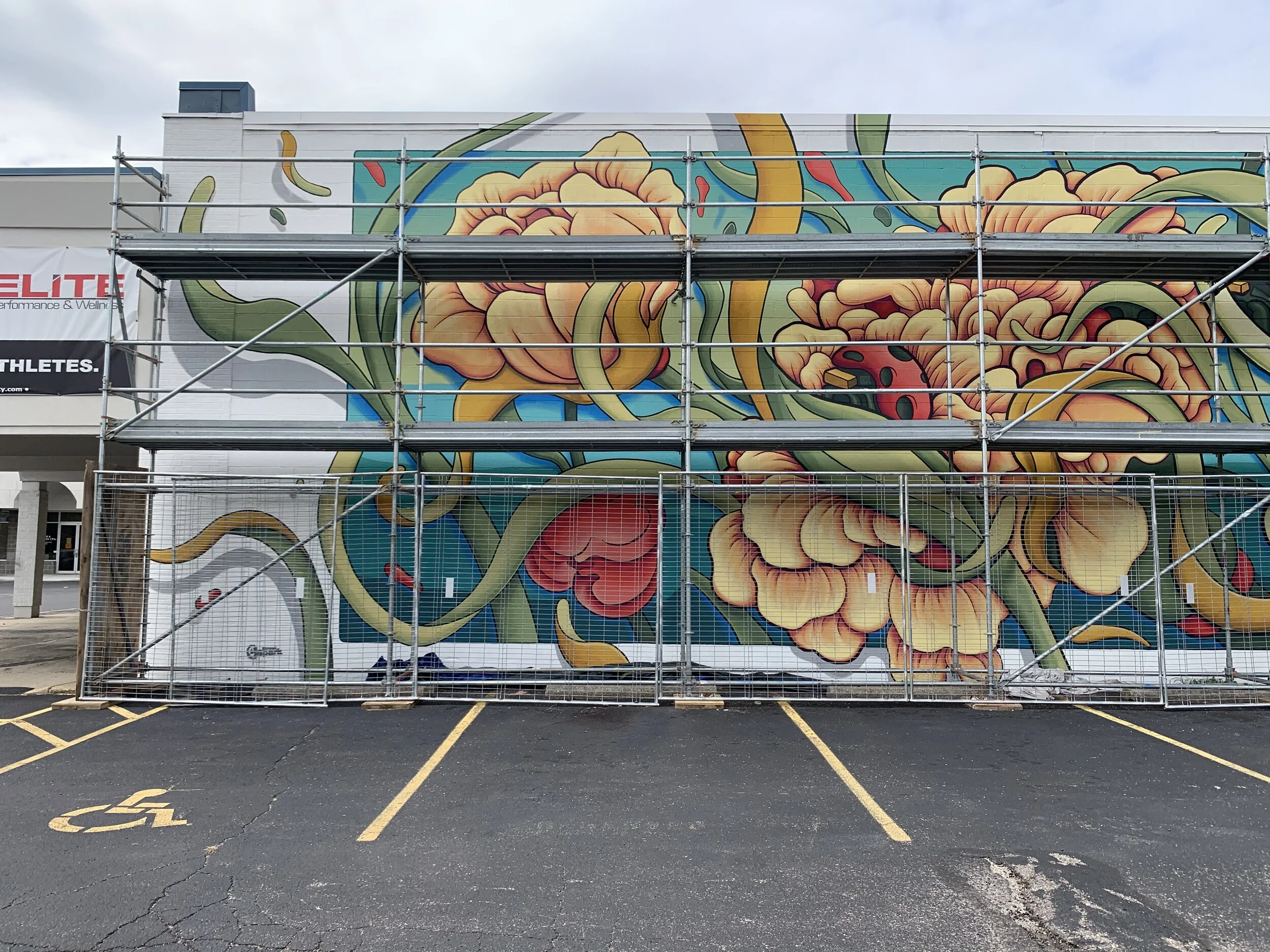 garden of the dogs28.jpeg