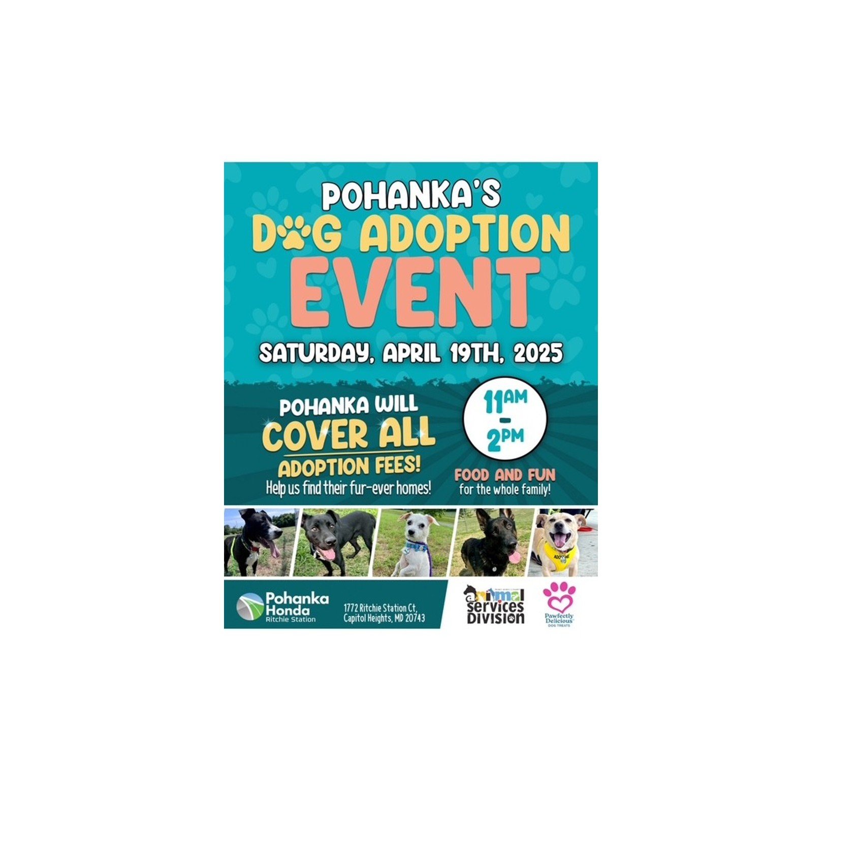 Pohanka's Dog Adoption Event