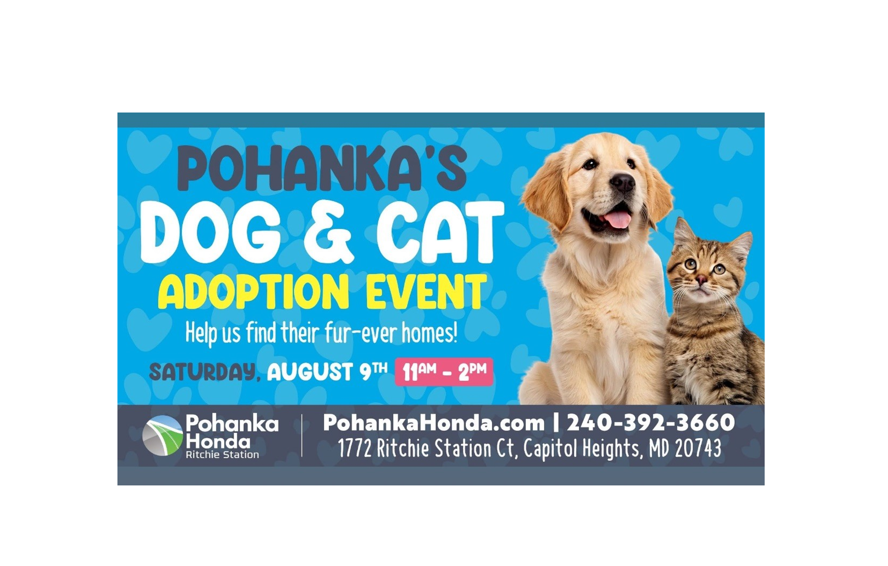 Pohanka's Dog and Cat Adoption Event