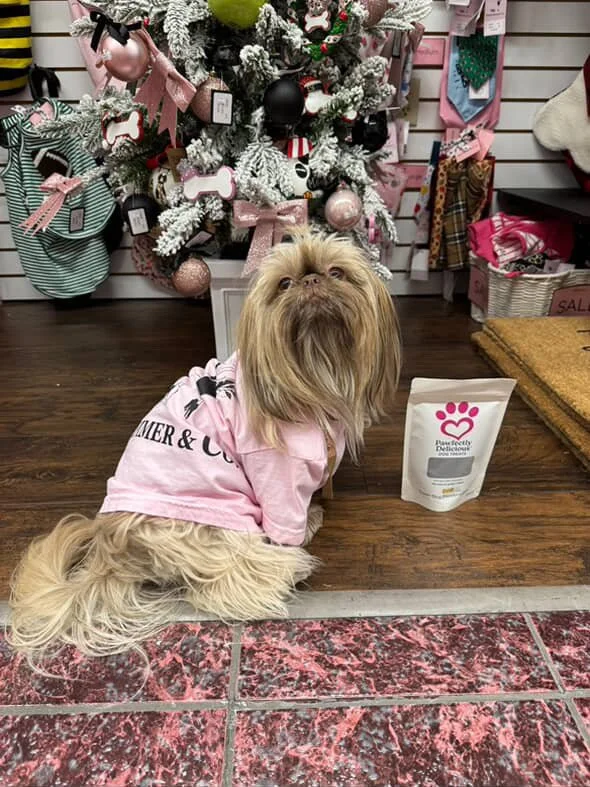 HUGE shoutout to @shimmer_and_company in Lubbock, Texas, for placing another wholesale order of our ginger dog treats! 🎉🐾

We&rsquo;re so grateful for small businesses like Shimmer &amp; Co. that stock our handmade, all-natural dog treats and share