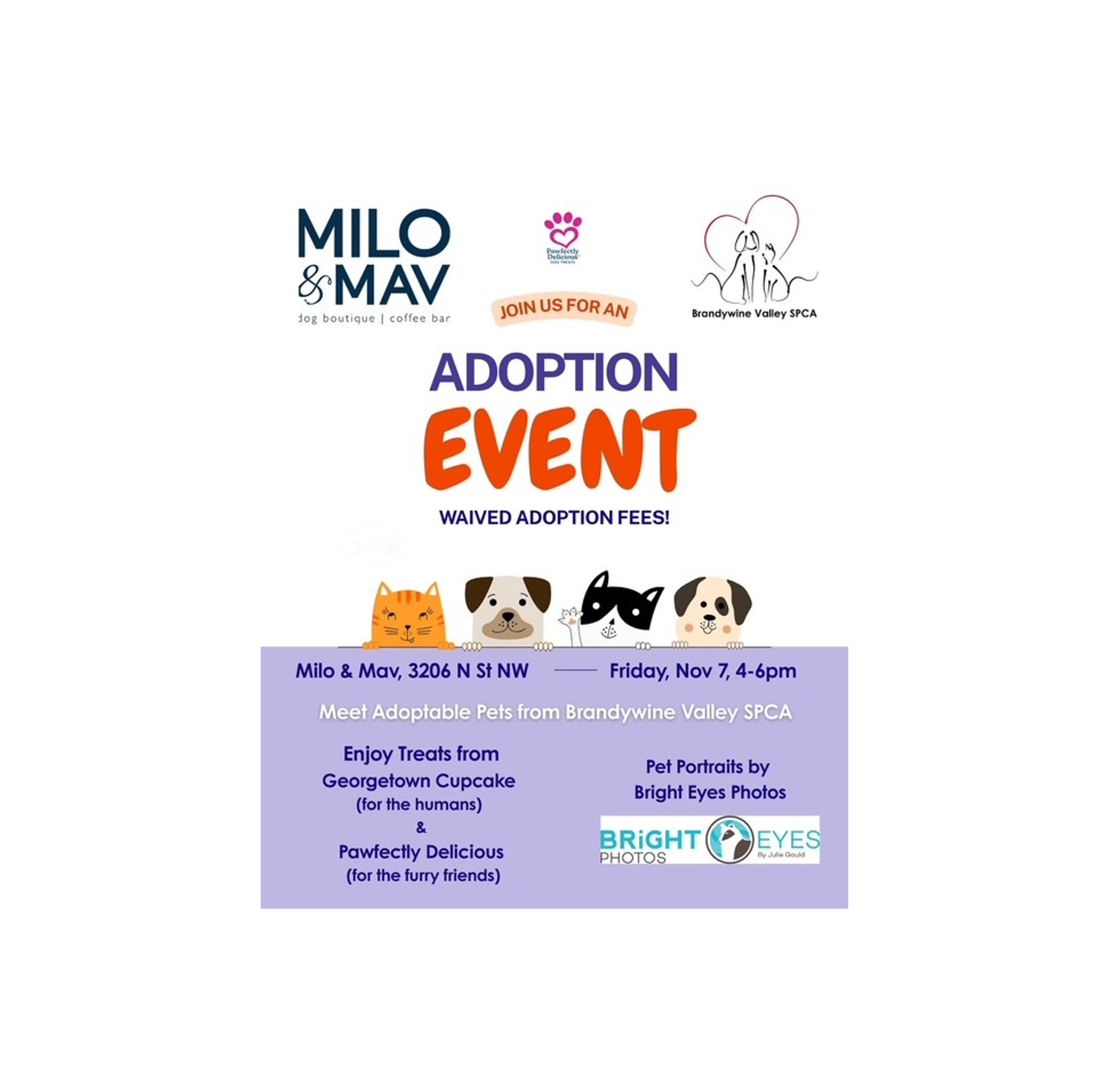 Pet Adoption Event at Milo &amp; Mav