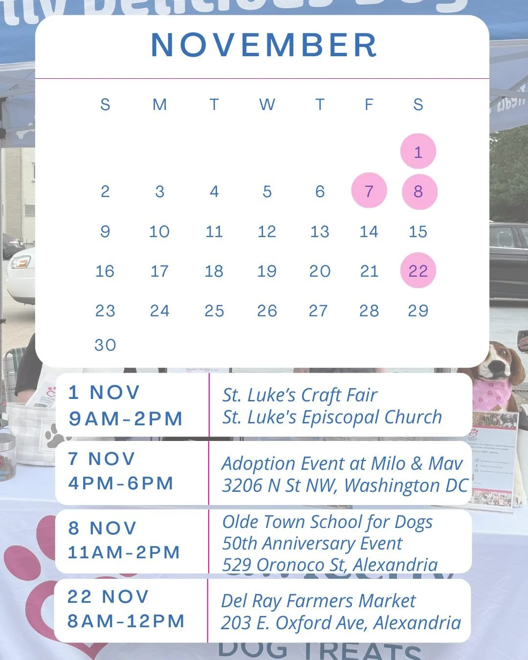Where can you find the team set up to sell treats in November? Check out our schedule below:

🩷November 1: St. Luke's Farmstand
 @stlukesepiscopeeps
8009 Fort Hunt Road, Alexandria, VA
8 AM - 1 PM

🩷November 7: Adoption Event at Milo &amp; Mav 
@mi