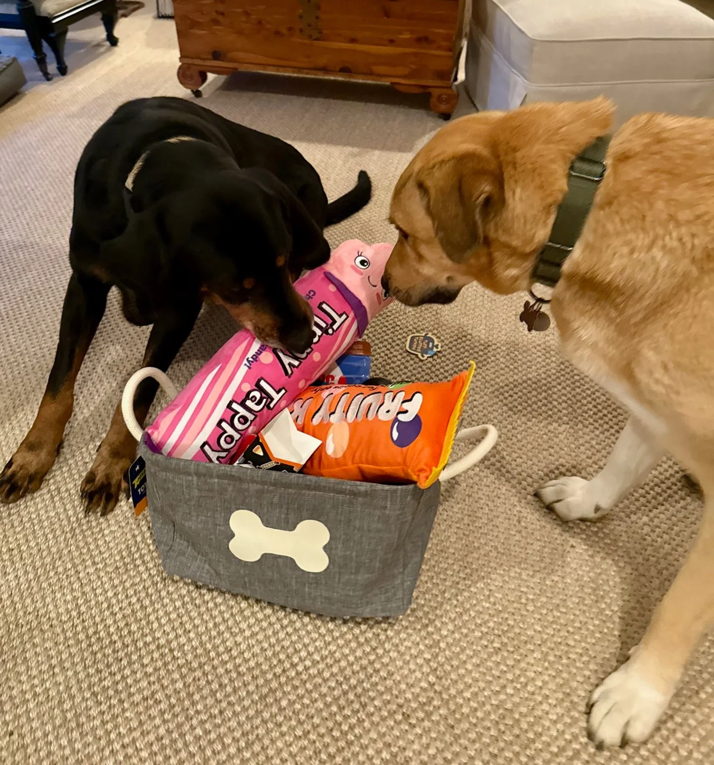 We are thrilled to spotlight and thank our new Community Partner, LiveWell Animal Hospital, a new, full-service veterinary hospital now open in Old Town Alexandria. Not only do their clients love Pawfectly Delicious, but the team at @livewellanimalal