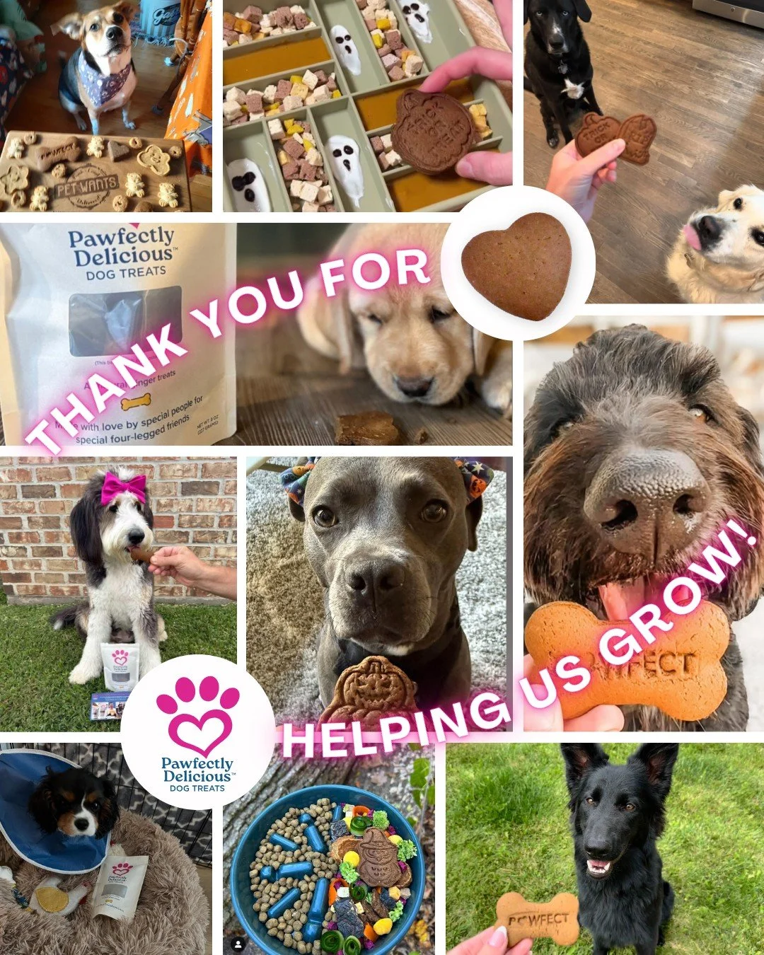 We really felt the love from our customers this year! 🩷

This photo shows just a few of the many amazing customers who shared about Pawfectly Delicious on social media this year, and we&rsquo;re so grateful for every single one who helped spread the