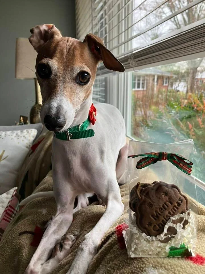 "Besito loves her Pawfectly Delicious treats especially her Christmas ones!" Thank you for sharing Joyce! 

If your pup loved our specialty Christmas treats, keep an eye on our website for our Valentine's day treats to go on sale! Our Chris
