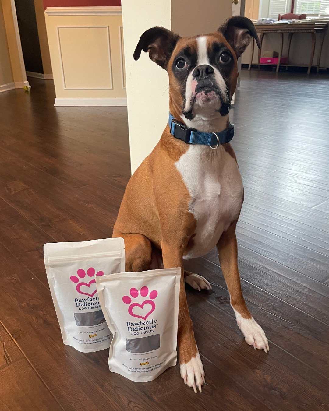 What a good pup modeling with our treats 😍

Our Signature Ginger Dog Treats are available in 2 sizes:

🐾Our 8 oz bags contain large treats with the word "pawfect" stamped in.

🐾 Our 4 oz bags contain a smaller sized treat, perfect for sm