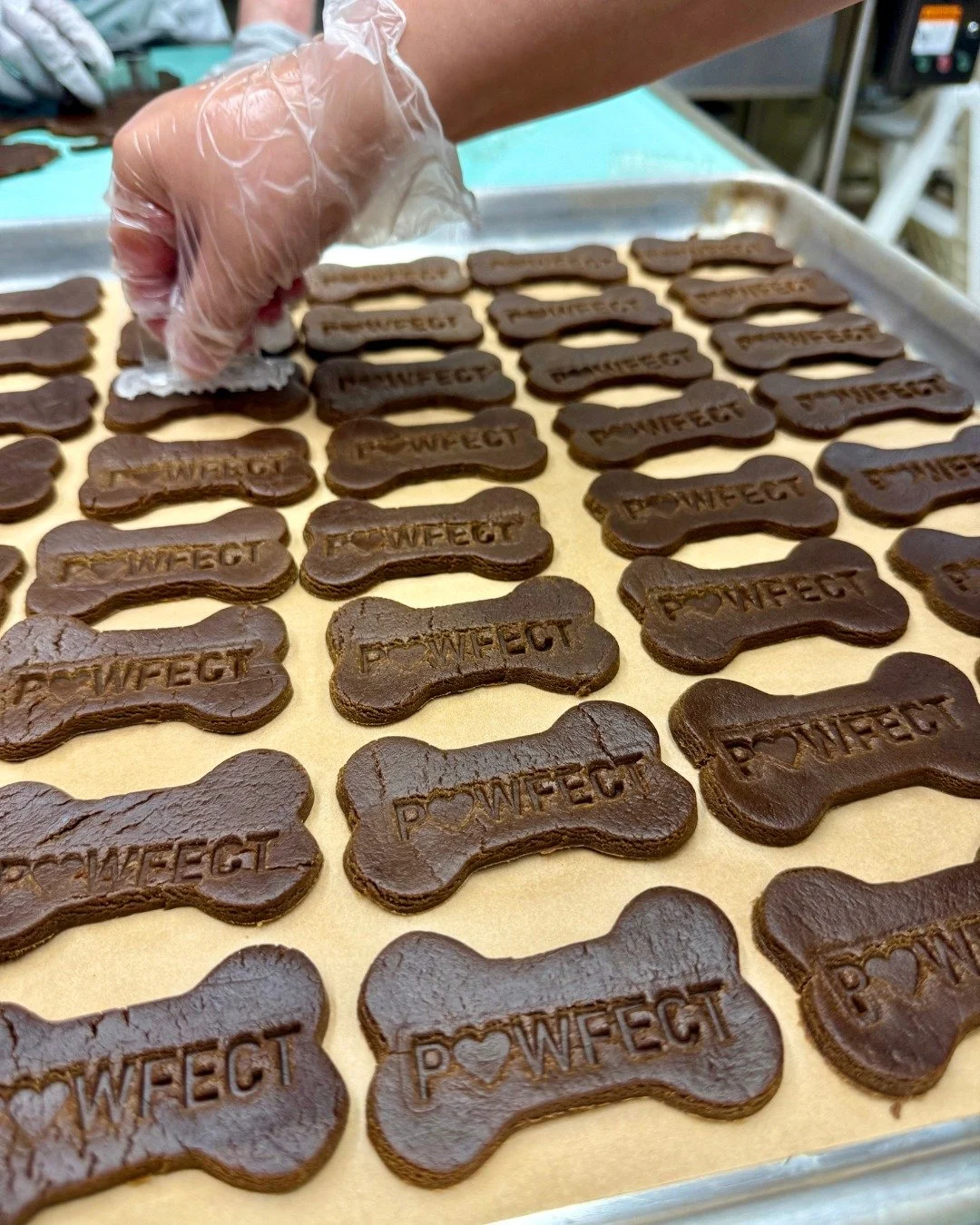 Celebrate National Dog Biscuit Day with a treat hand-stamped by our team of disabled adults! 🐾

If you give your pup one of our treats today, send us a pic or tag us @pawfectlydeliciousdog in a post showing how much your pup loves our treats! 

🤔 D