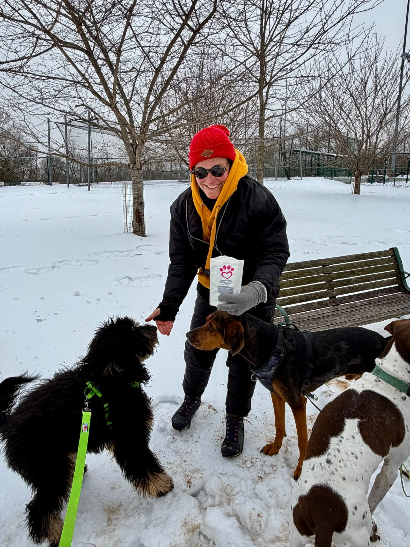 Community Partner Shoutout! 🐾

A big thank you to Dominion Dog Walking for their support of Pawfectly Delicious Dog Treats! Serving the Alexandria area, they&rsquo;ve been sharing our treats with their clients, and we&rsquo;re so grateful.

They&rsq