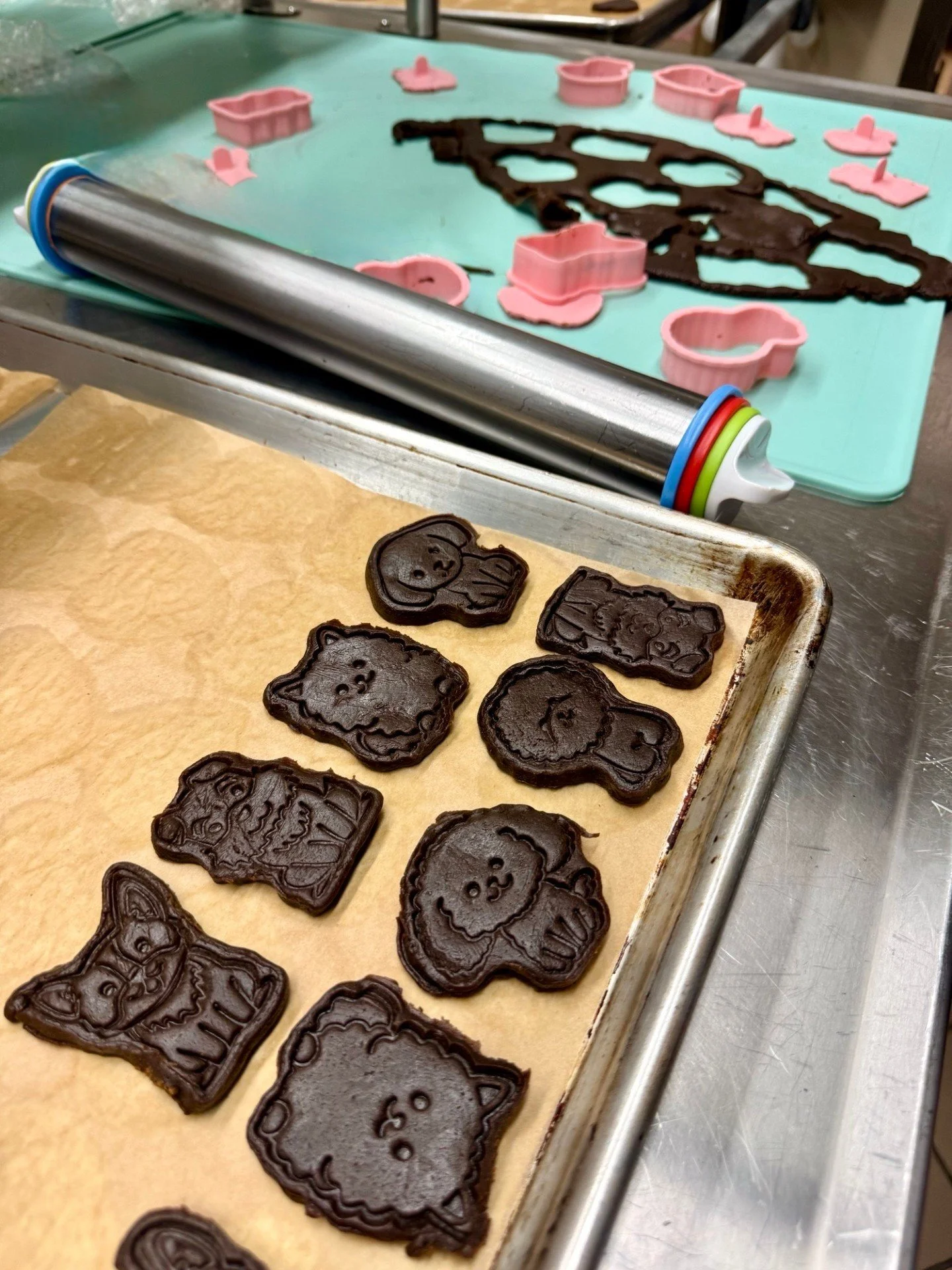Take a sneak peek at our pawfect new dog treat medleys, all ready for Del Ray Dog Fest this weekend! @delray_dogfest will be their debut, so come out to this amazing event for the first opportunity to purchase these NEW medleys! See you at the Del Ra