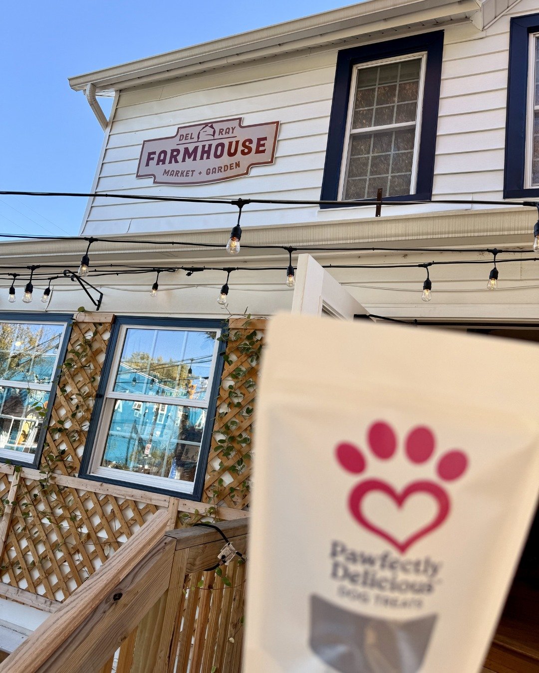 Retail Partner Spotlight! 🐾

You can find our ginger dog treats at @delrayfarmhouse, a beloved local market known for fresh produce and specialty goods.

We&rsquo;re so grateful for partners like Del Ray Farmhouse Market &amp; Garden who support our
