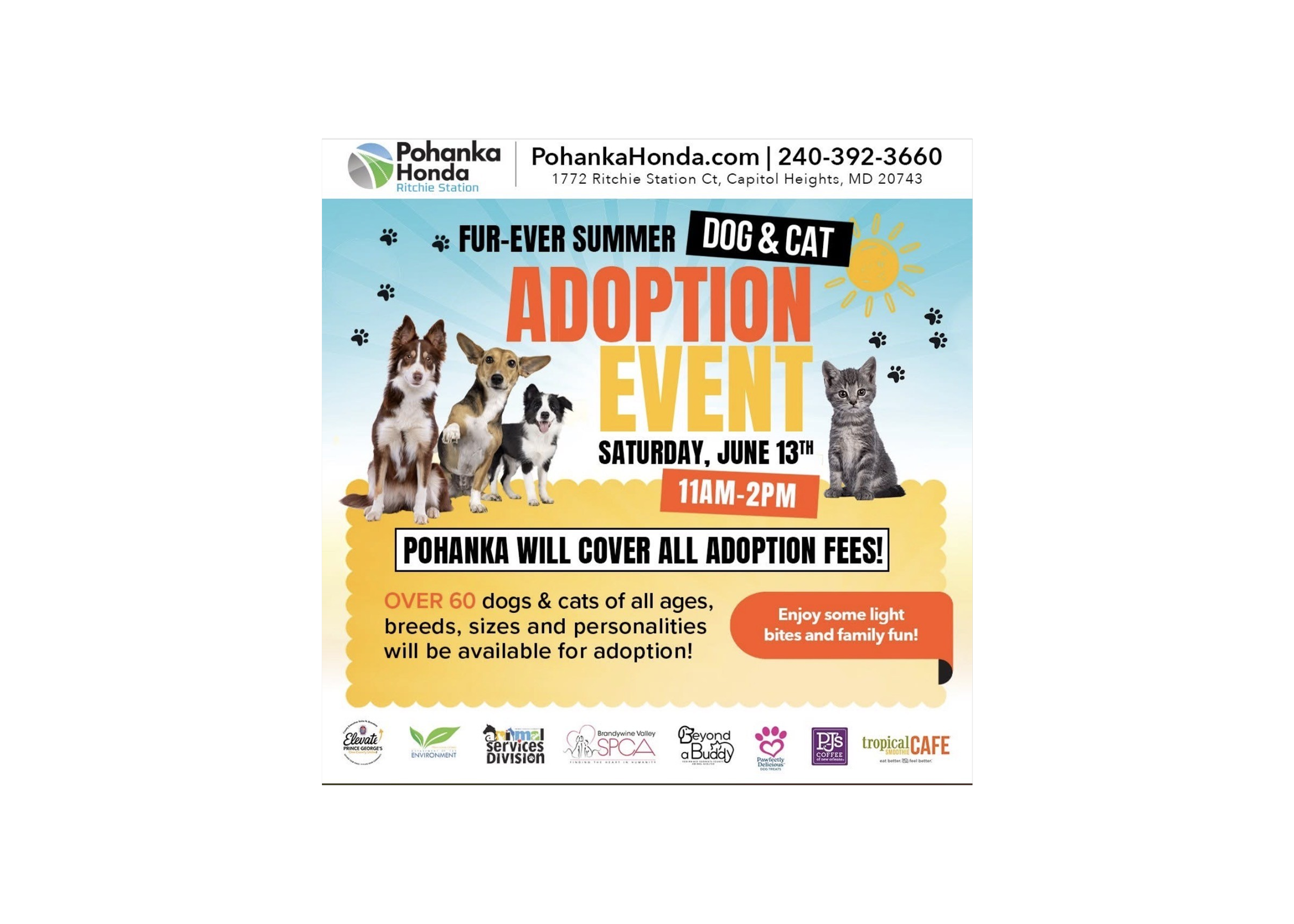 Pohanka's Dog and Cat Adoption Event 