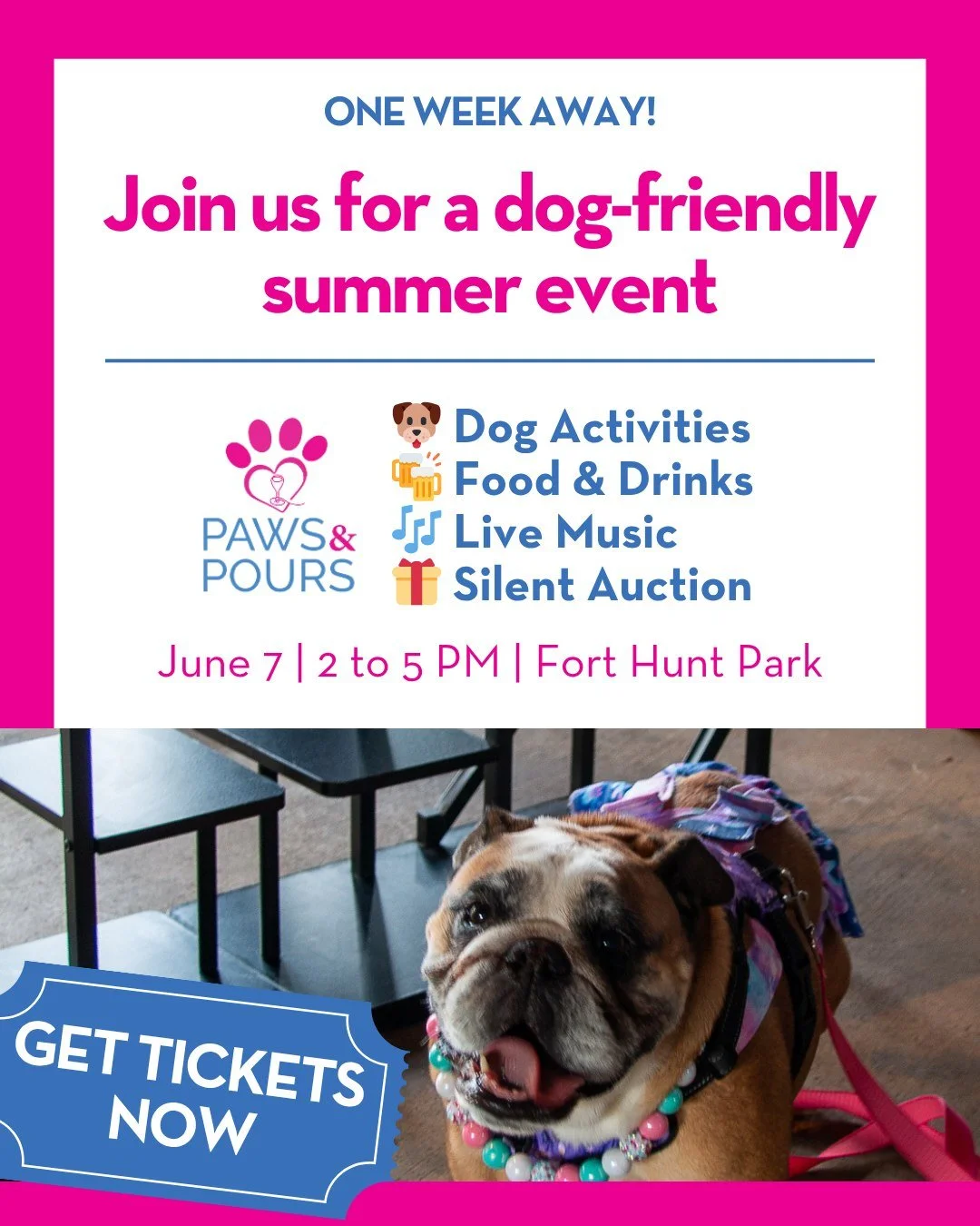 Your dog deserves a day out, too 🐾

Join us for an afternoon of dogs, dog-friendly activities, food, drinks, live music, and community, all while supporting meaningful employment for adults with disabilities.

📍 Fort Hunt Park, Alexandria
📅 June 7