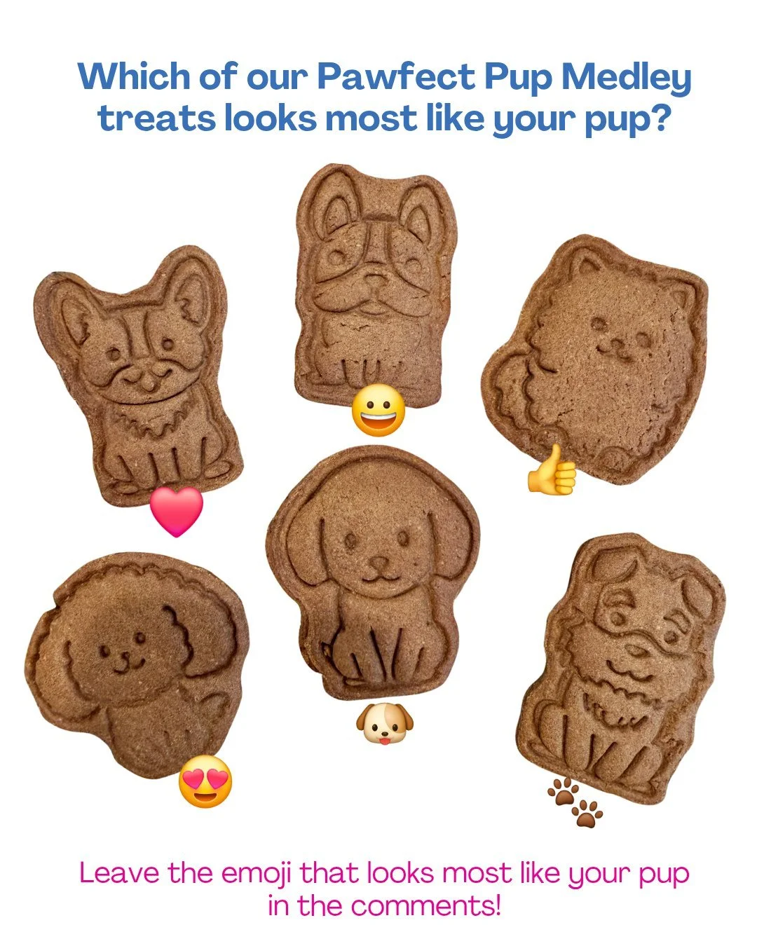 Our new Pawfect Pup Treat Medley has been a hit! 🐾🎉

These all-natural ginger dog treats are almost too cute to eat (almost 😉) and have quickly become a favorite.

Every purchase supports meaningful employment opportunities for adults with disabil