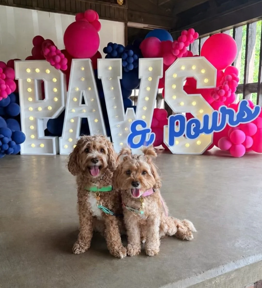 Thanks to everyone involved we raised nearly $22,000 at this year's Paws and Pours event!

Every dollar raised goes toward continuing to grow our team, which we have added one new employee since the event, and continuing towards our goal of getting a