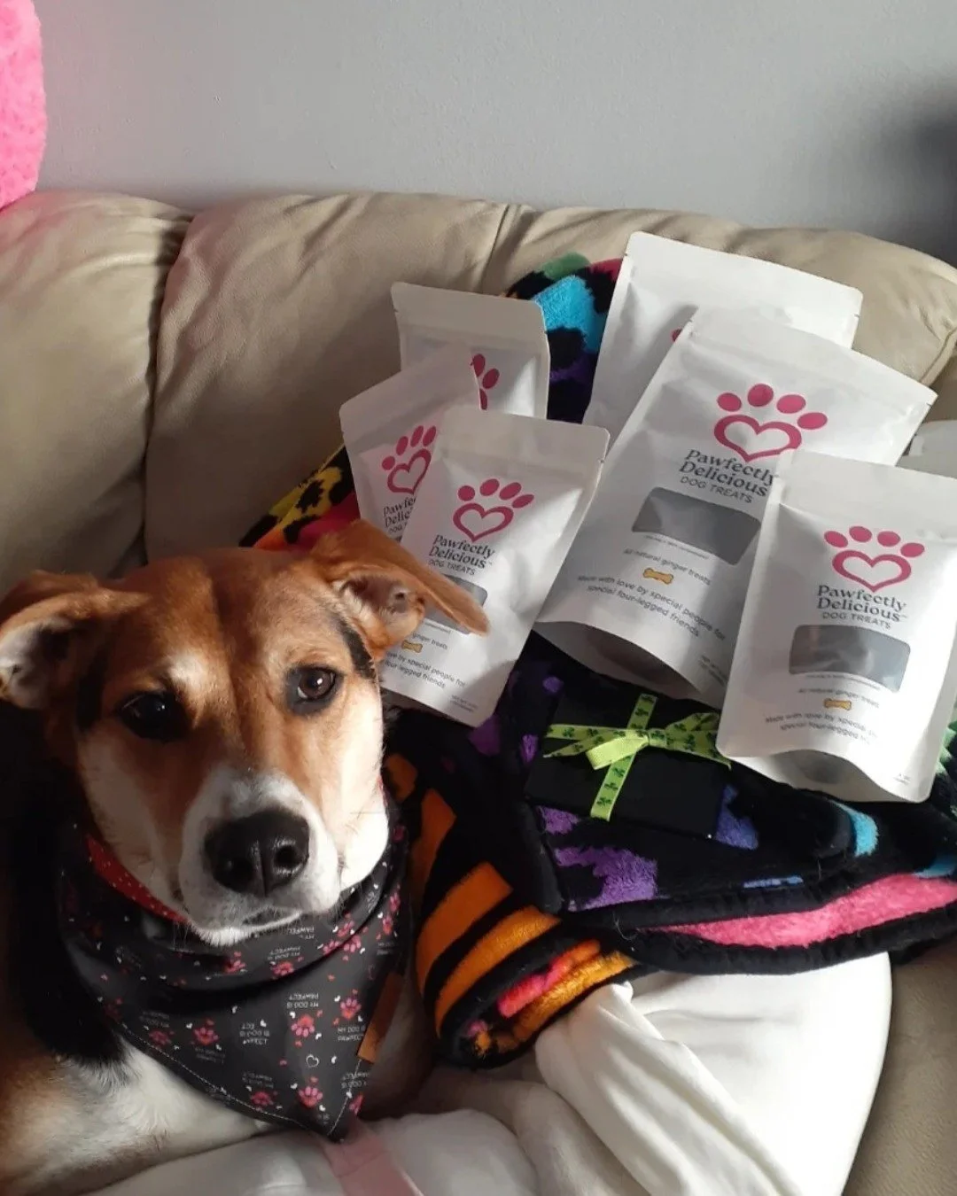 It's National Spoil Your Dog Day!

No better way to spoil your dog than with an all-natural dog treats subscription, made by our incredible team of adults with disabilities!

Your subscription order will be delivered each month and contains one 4 oz 
