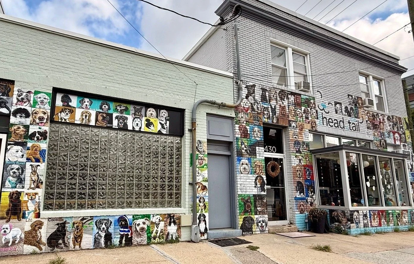 ❗Limited pup portrait mural spaces left❗

From Head to Tail Spa has been an amazing supporter of our mission for years, and there are still mural spaces left for those who would like to support our organization through this project.

Our team member 