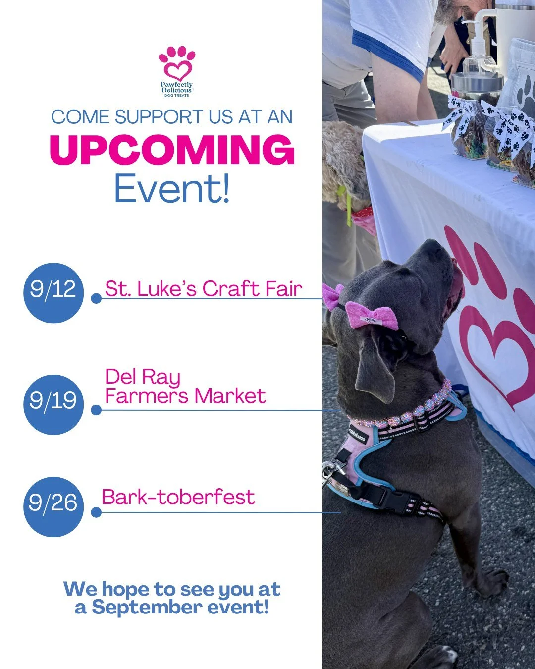 Fall is a busy season for the team! We love being out in the community at so many incredible events -- come see us! 🍂🌻

🩷Sept 12: St Luke's Craft Fair 
@stlukesepsicopeeps
St. Luke's Episcopal Church
8009 Fort Hunt Road, Alexandria, VA
9 AM - 2 PM