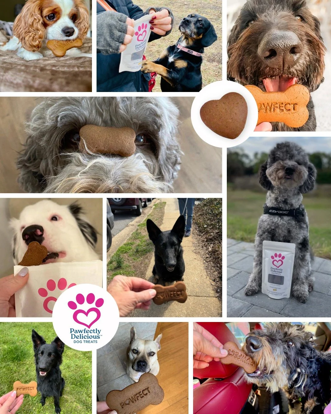 Lots of happy customers! We love seeing your pups enjoying our treats! 🩷🦴

Since IG now let&rsquo;s us post pics in comments, post a pic of your dog with our treats if you have one!

#treattuesday #dogtreatsfordoglovers #allnaturaldogtreats