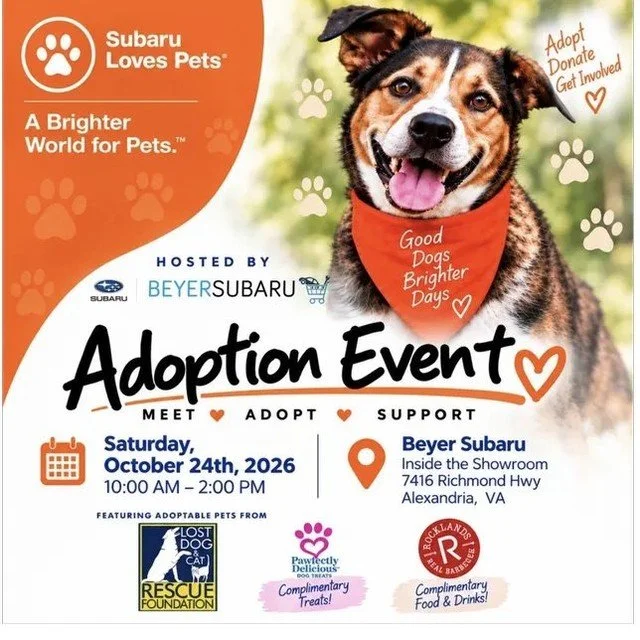 We are thrilled to be joining our friends @beyersubaru for an exciting adoption event to help some sweet pups find fur-ever homes! Come out for a day of dog treats, food, fun and maybe meeting your new best friend! 

📆Saturday, October 24, 2026
🕙10